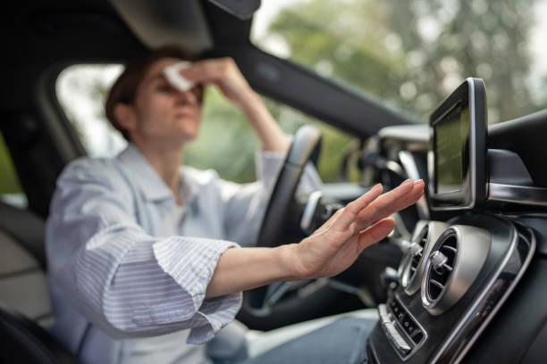 Best Central Air Repair  in Belleville, MI